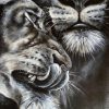 Pintura de leones black style costa rica