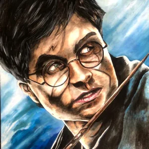 HARRY POTTER pintura costa rica