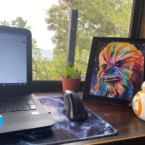 chewbacca pintura colorida
