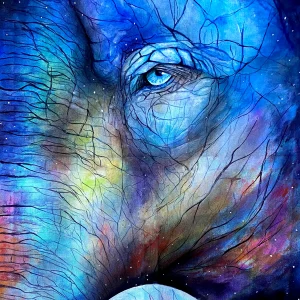 elefante azul pintura costa rica