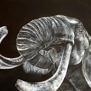 elefante blanco y negro