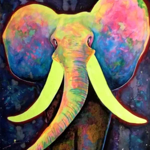 elefante colorido jesus artista