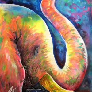 elefante lado costa rica colores