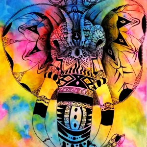 elefante mandala colorido