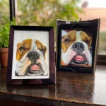 retrato mascota bulldog ingles old