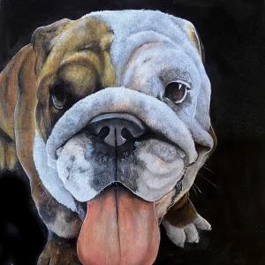 Retrato de mascota  - 0030