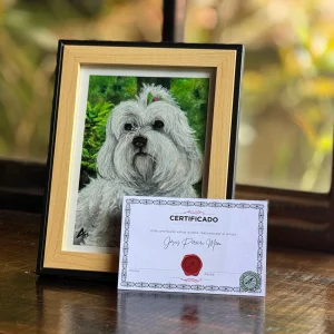 Retrato de mascota  - 0019