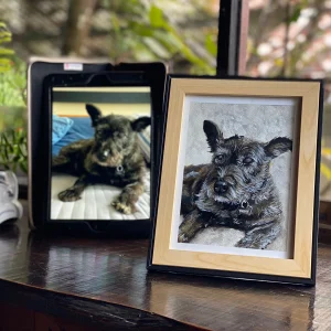 Retrato de mascota  - 0031