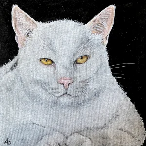 Retrato de mascota de gato - 0033