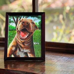 Retrato de mascota pitbull - 0036