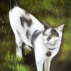 Retrato de mascota  gatitos - 0034