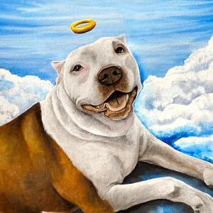 Retrato de mascota  - 0022