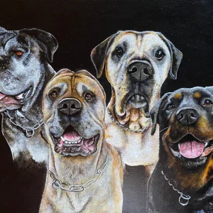 Retrato de mascota  - 0021