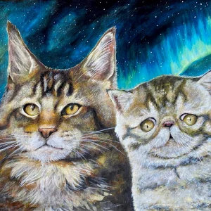Retrato de mascota  de gatos - 0033
