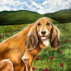 Retrato de mascota - 0037