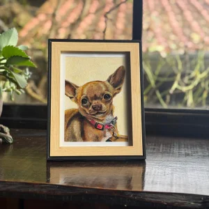 Chihuahua retrato de mascota – 0053