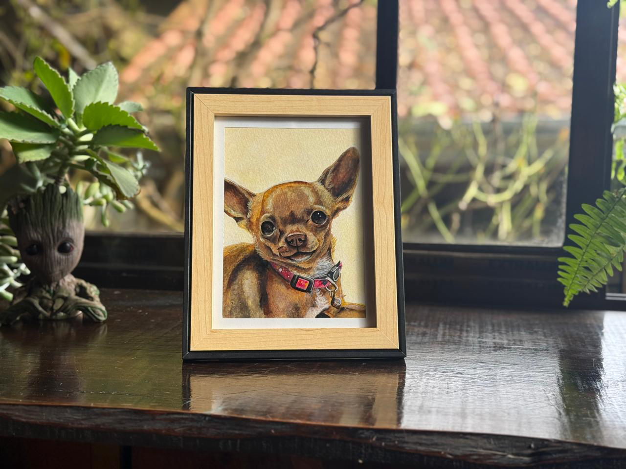Chihuahua retrato de mascota – 0053