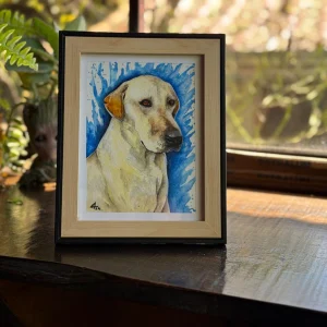 Retrato de mascota – 0055