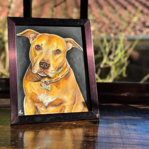 Pitbull retrato de mascota – 0054