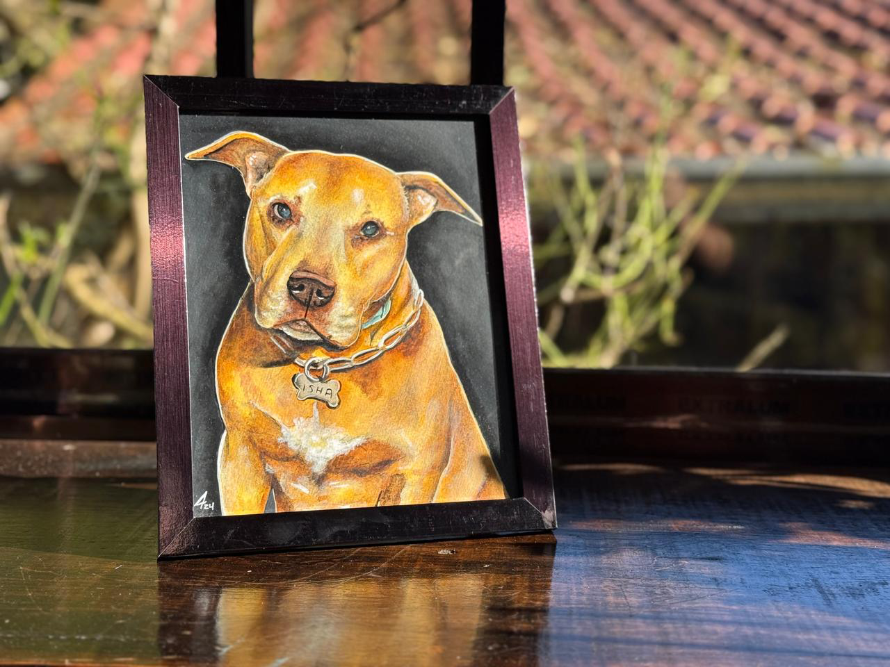 Pitbull retrato de mascota – 0054