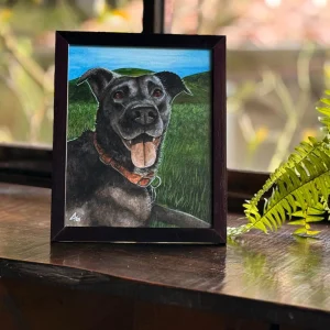 Retrato de mascota – 0058