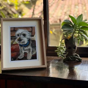 Retrato de mascota – 0059
