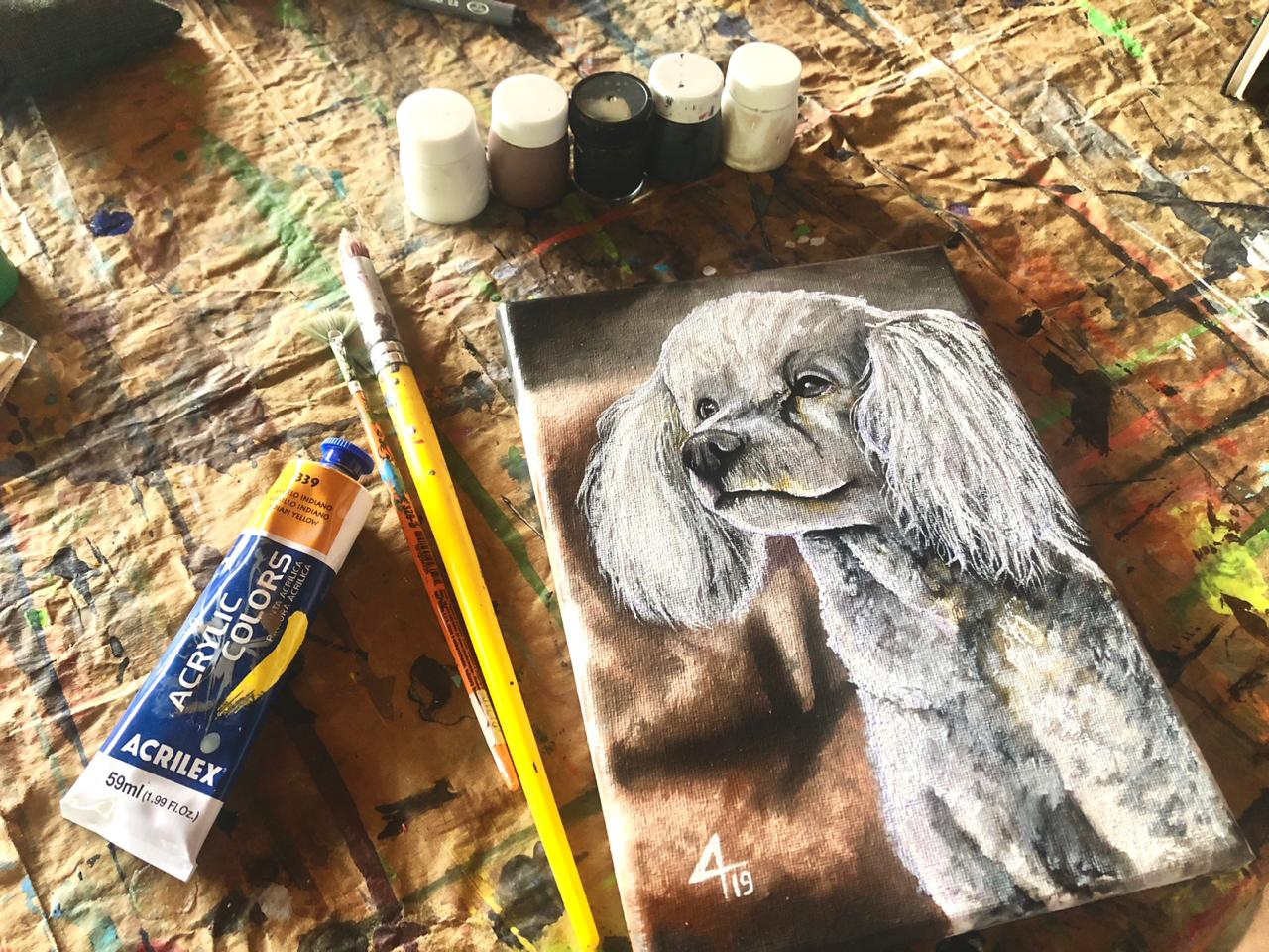 Retrato de mascota – 0060