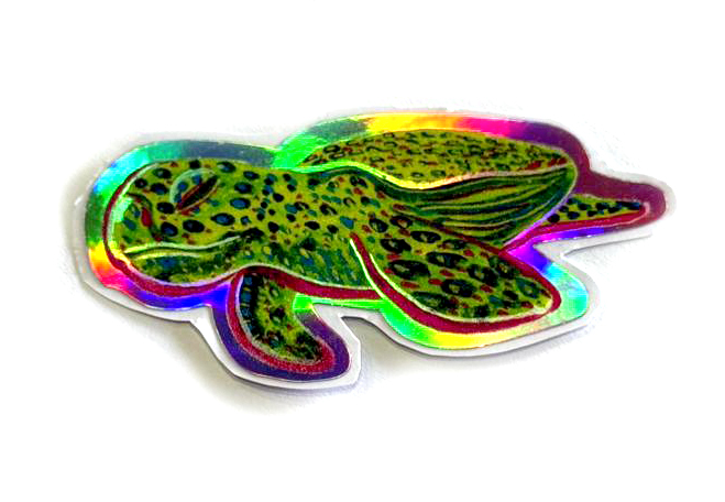 vida marina costa rica