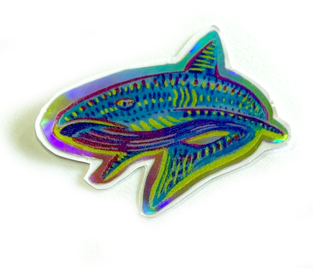 vida marina costa rica