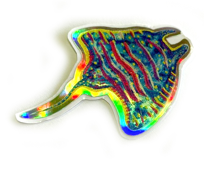 vida marina costa rica