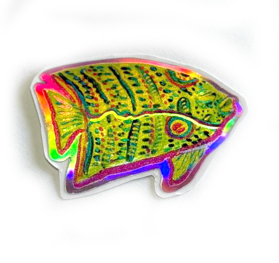 vida marina costa rica