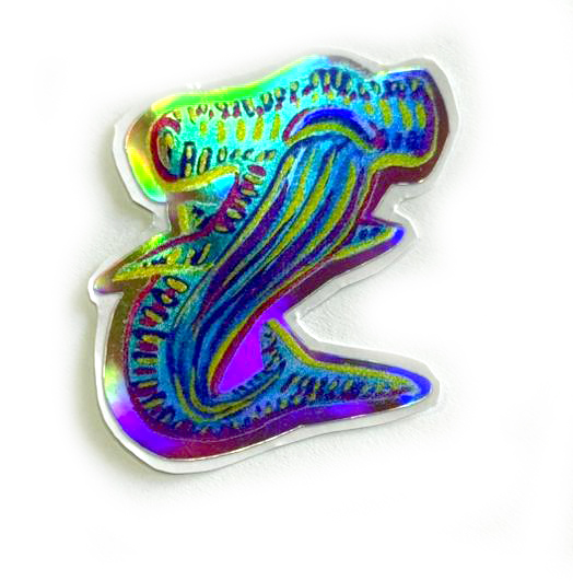 vida marina costa rica