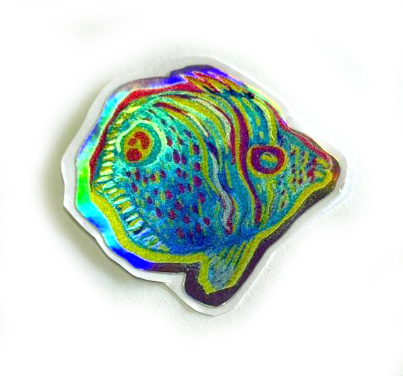 vida marina costa rica