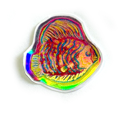 vida marina costa rica