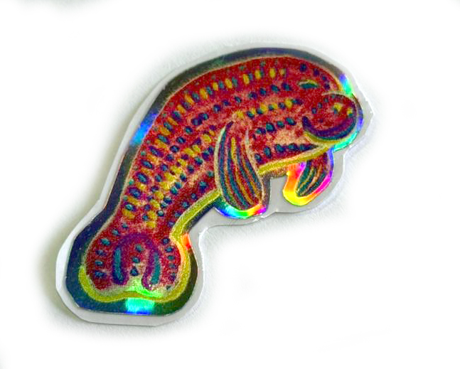 vida marinca en costa rica