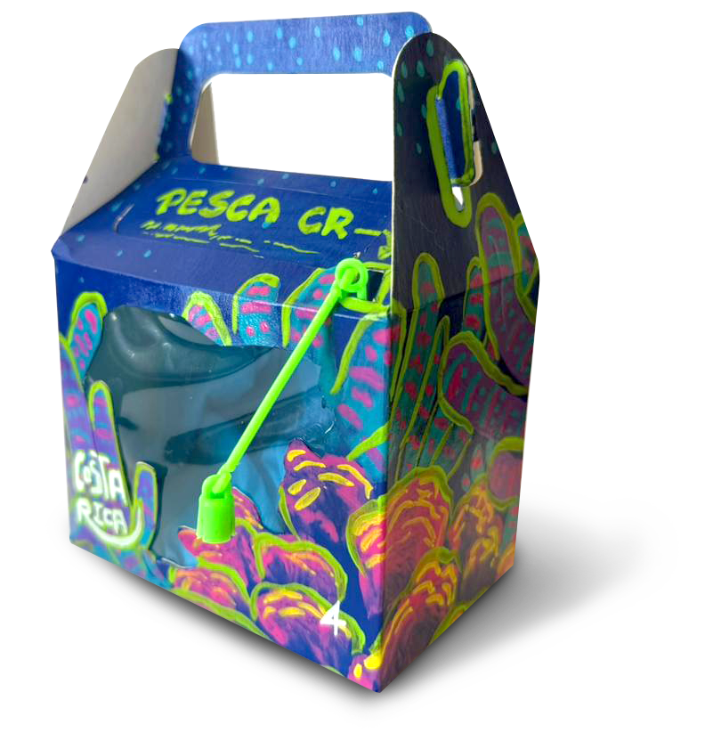 vida marinca en costa rica