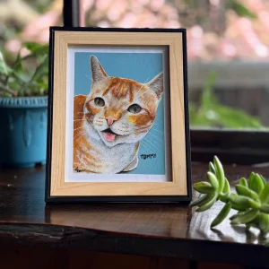 Retrato de mascota Gato - 0061