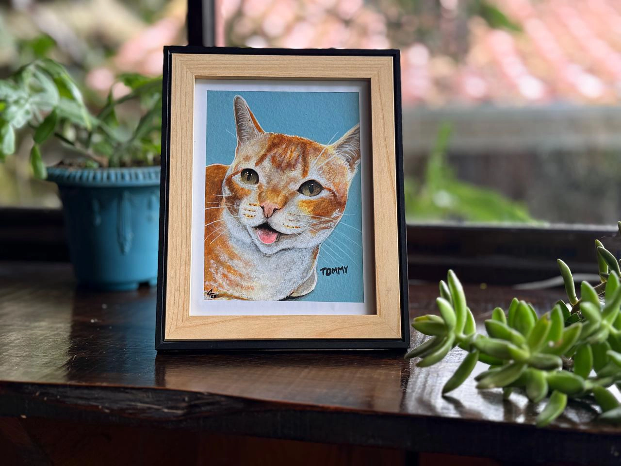 Retrato de mascota Gato – 0061